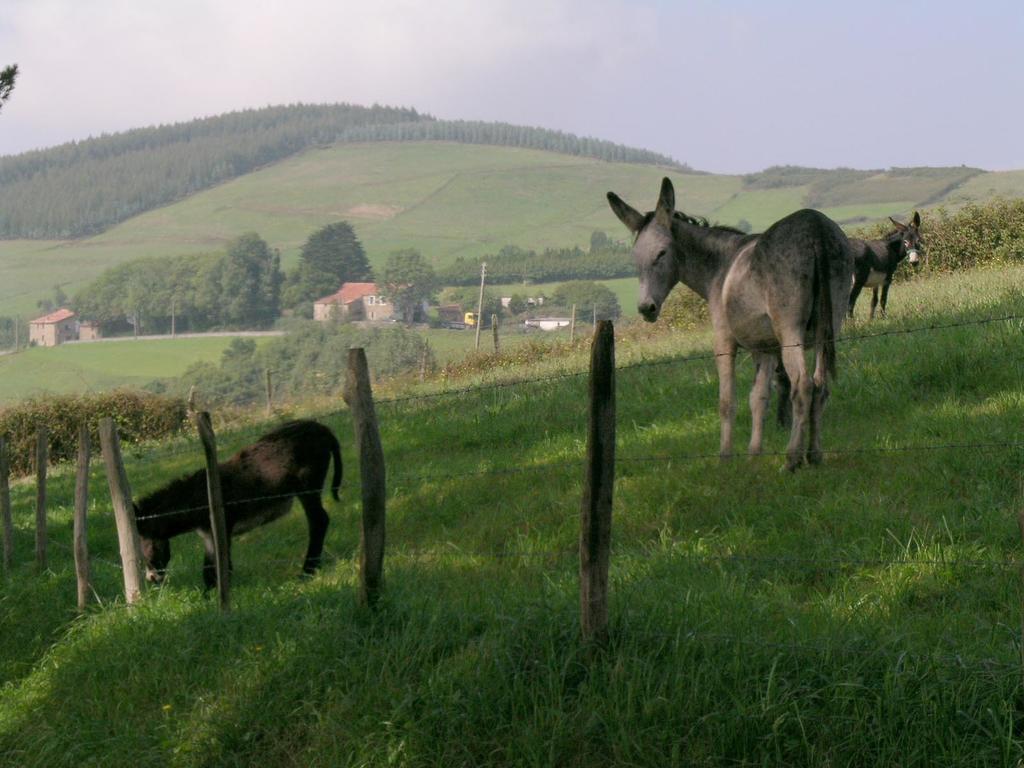 Agroturismo Kasa Barri Bermeo Dış mekan fotoğraf